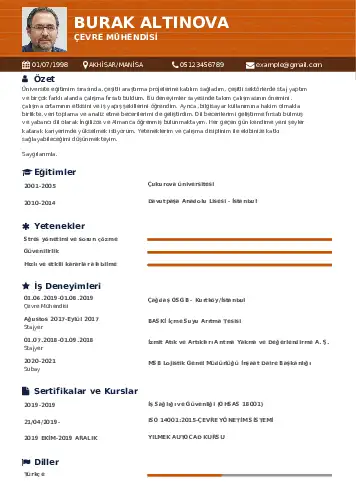 cv indir
